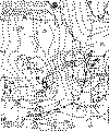 A_sfcbw.gif (93519 bytes)