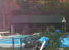 PoolHouseFullTaredRoof~1.jpg (79893 bytes)