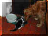 TilleyMirandaEating~1.jpg (72458 bytes)